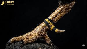 cach-xem-vay-ga-choi